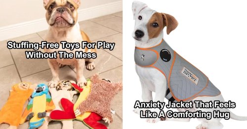 These cheap things make your dog behave better with almost no effort
