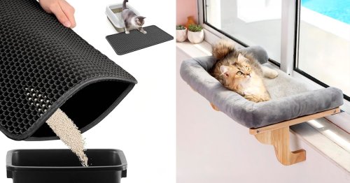 50 Weird Things For Your Cat That Are Actually So Dope