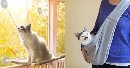 Thousands of cat owners swear by these 30 cheap, clever products on Amazon