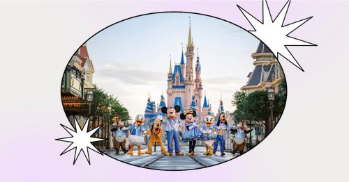 are-vip-tours-at-disney-parks-worth-3k-a-breakdown-flipboard