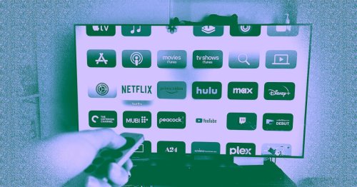 The Only Good Streaming Services Left Are Niche Ones