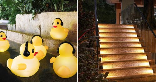 55 Weird, Genius Things for Your Backyard You Never Knew Existed