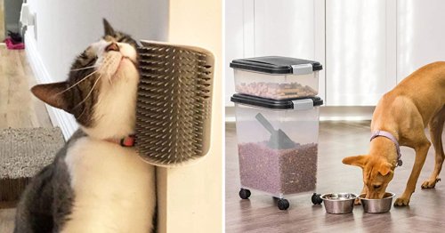 40 Things For Pets That Are Skyrocketing In Popularity On Amazon Because They’re So Freaking Clever