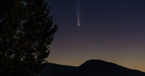 You Can See A Very Rare Comet From Your Window This Month