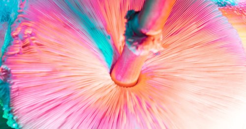 A single dose of psilocybin may alleviate major depression for 12 weeks, study finds