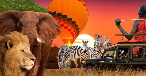 How To Spend 3 Days In Masai Mara, The Safari Park From The Lion King