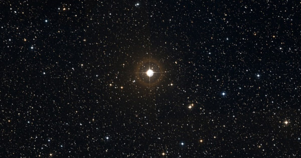 Earth Plants Can Grow On These Alien Worlds, A New Simulation Study