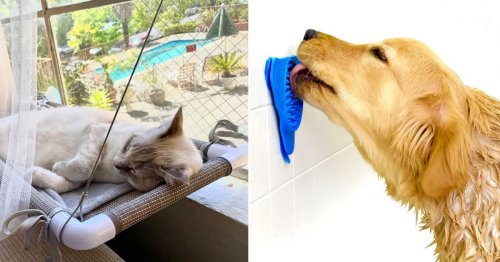 These pet products on Amazon are really weird & interesting & I want them all