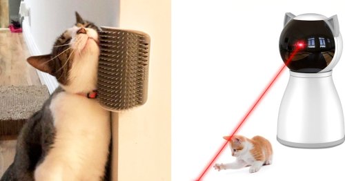 55 Genius Things For Your Cat You'll Wonder How You Ever Lived Without