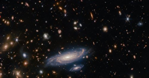 Dozens And Dozens Of Stunning Galaxies Crowd One Astounding Photo
