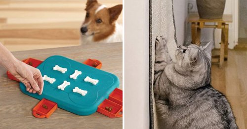 Trainers & vets love these genius things on Amazon that get pets to behave so much better