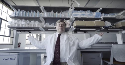 Meet Todd Rider, the Man Who Maybe, Probably Cured Most of the Viruses on Earth