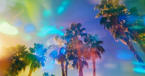 CALIFORNICATION
🌈🌴🌈🌴🌈🌴🌈
 cover image