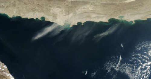 Oxygen-Free "Dead Zone" as Big as Scotland Discovered in Arabian Sea