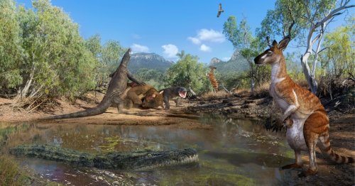 New study: In ancient Australia, humans lived in a world with true giants
