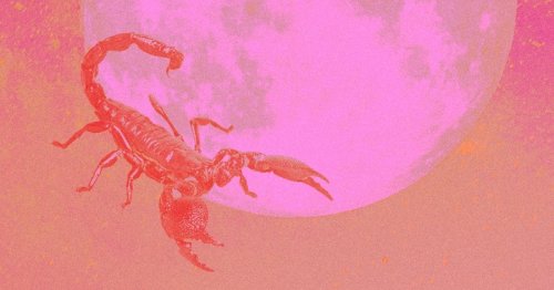 Full Moon April 2024 Horoscope: The 5 Zodiac Signs Most Affected