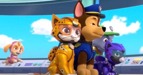 'Paw Patrol' Drops Surprise Cat-Centric Spin-Off Movie 'Cat Pack'