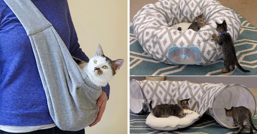 Cat owners say they wish they'd gotten these weird-but-genius things sooner