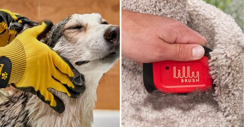 If your dog's a pain in the butt, you'll wish you knew about these genius, cheap things sooner
