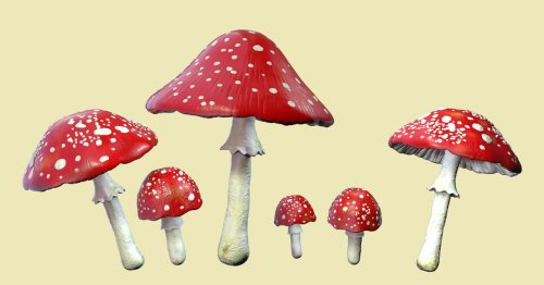 LSD and Magic Mushrooms Dramatically Rewire the Brain, New Study Reveals