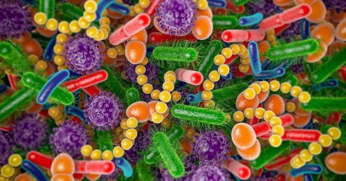 Your gut microbes are thousands of generations old — new study