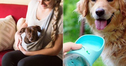 Having a dog would be even more fun if you had any of these clever, cheap things