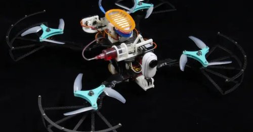 This drone has conquered land, sea, and the art of hitchhiking | Flipboard