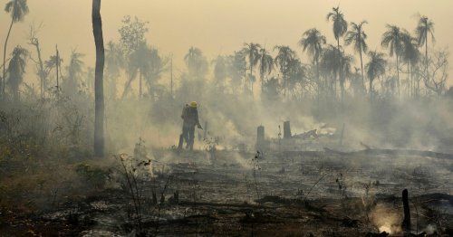 What’s at stake as the Amazon burns