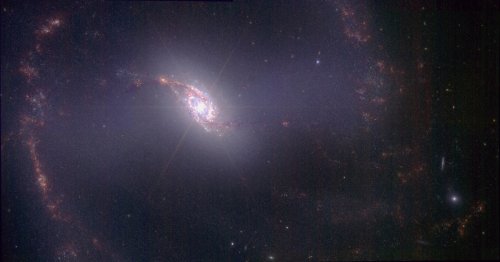 Look! New Webb Telescope image reveals a rare galaxy close to the Milky Way
