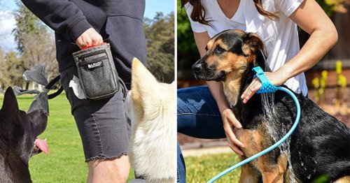 Clever things that immediately make having a dog so much easier