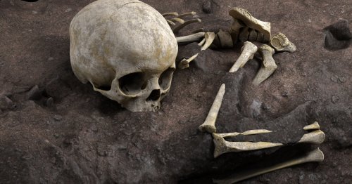 Inside the incredible journey to solve an ancient human mystery