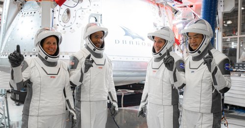 SpaceX Crew Dragon: NASA astronauts reveal how tough trip will shape space travel