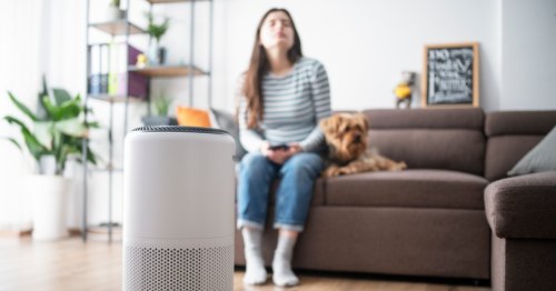 Your air purifier may be doing more harm than good