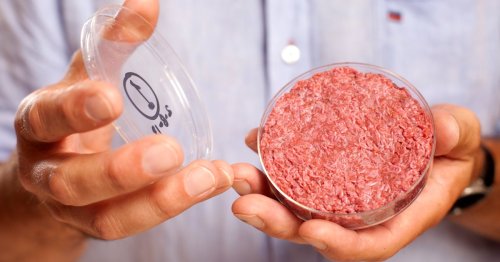 Lab-Grown Meat: Beyond Burgers, the 7 In-Vitro Foods Coming to Plates