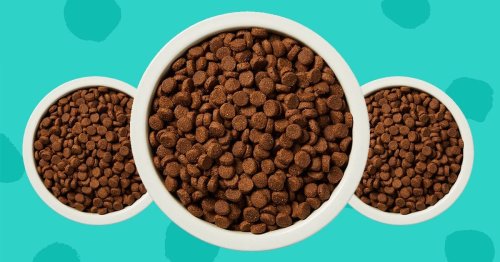 The Best Grain-Free (Or No Added Grain) Dog Food That’s Healthy *And* Pup-Approved