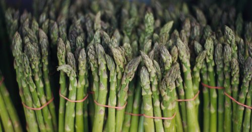 Why your pee smells after eating asparagus — and why not everyone can smell it