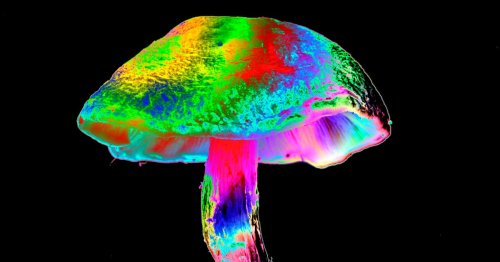 Magic mushrooms might rebalance the brain — study