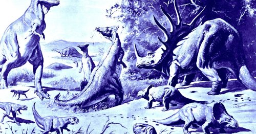 Newfound oldest primate ancestor watched the dinosaurs die