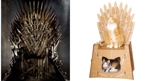 You Can Get A Cardboard Iron Throne House For Your Cat