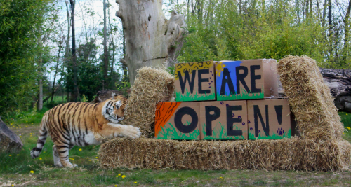 Tayto Park Zoo announces official reopening date