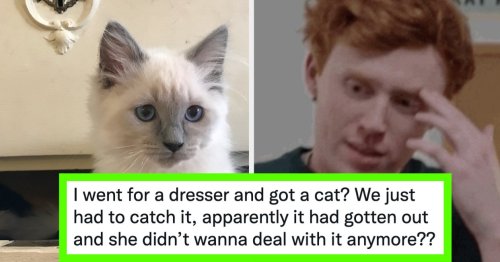 "It's Always The Weirdest Person You've Ever Met": People Are Sharing The Oddest Encounter They've Had From Facebook Marketplace, And It's A Vibe