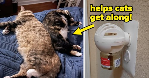 Say Goodbye To Cat-Related Stress With These 32 Useful Products
