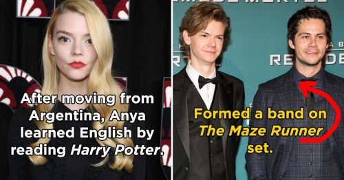 25 The Queen S Gambit Cast Facts For Anyone Who Loves Anya Taylor Joy And The Rest Of The Actors Flipboard