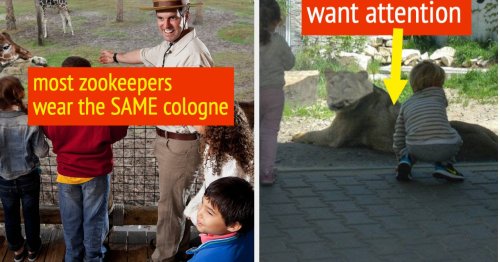 Zookeepers Are Sharing The Disturbing Secrets Of Zoos, And It's Sad Yet Fascinating