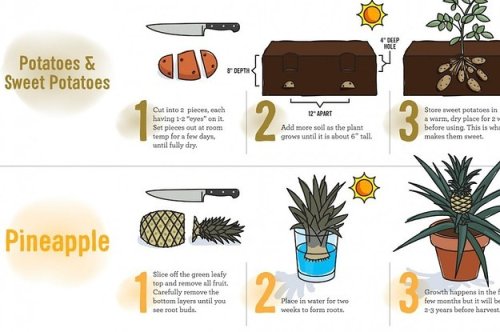 23 Diagrams That Make Gardening So Much Easier