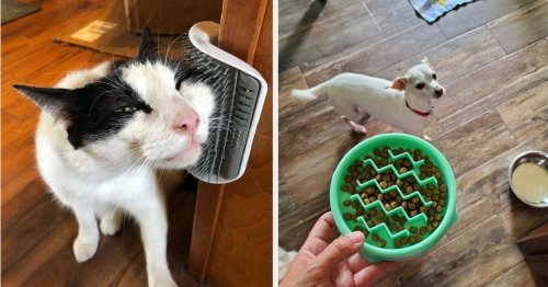 43 Problem-Solving Products From Amazon That Pet Owners Actually Swear By