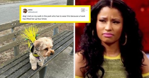 I Cannot Stop Laughing At These 24 Hilarious Fails From Last Week — Please Send Help