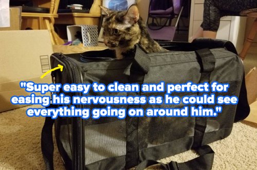 32 Things That Pet Owners Who’ve Rescued Pets Swear By