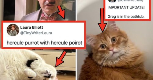 26 Funny, Wholesome, And Adorable Posts From This Week That Lowkey Restored My Faith In Humanity And Honestly Might Save Yours Too