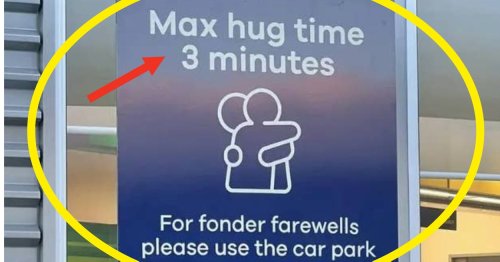 14 Hilariously Bonkers Signs From This Week That Made Me Forget How Awful It Was